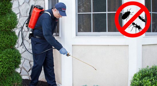Karpuzlu Pire İlaçlama böcek ilaçlama ve haşere kontrolü — ilaclama-tr.com